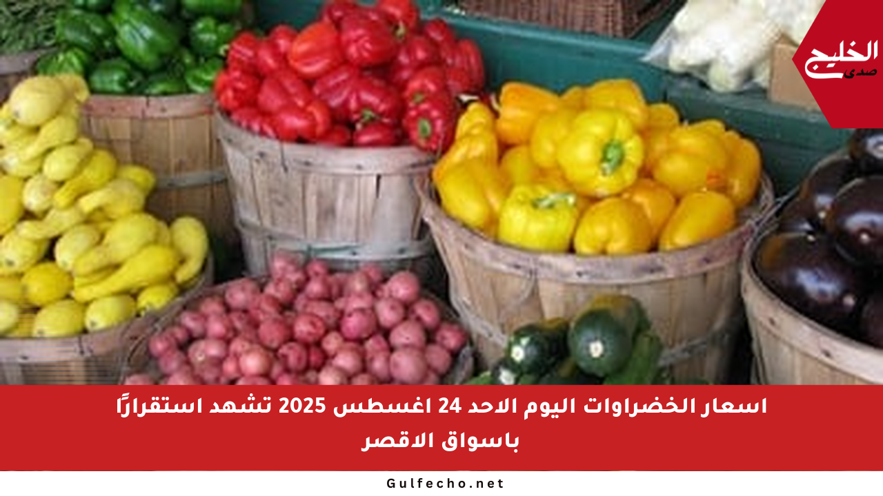 أسعار الخضراوات اليوم الأحد 24 أغسطس 2025 تشهد استقرارًا بأسواق الأقصر